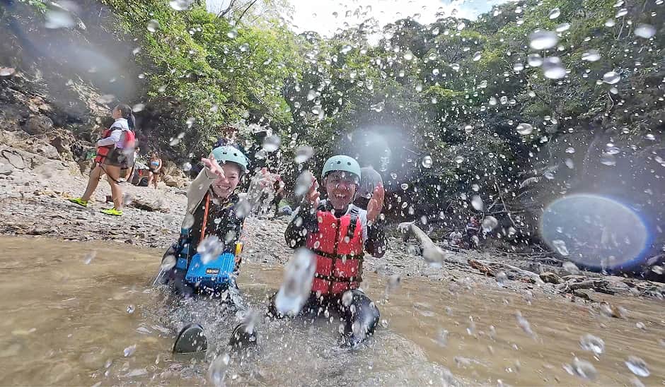 リュウキュウハグロトンボのオス