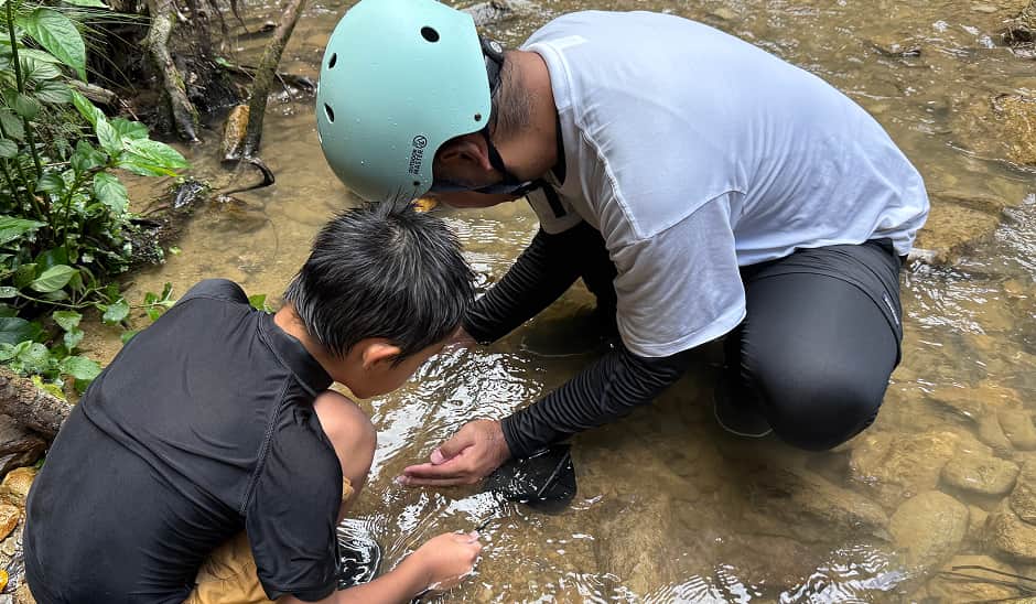 エビ獲りをしている様子