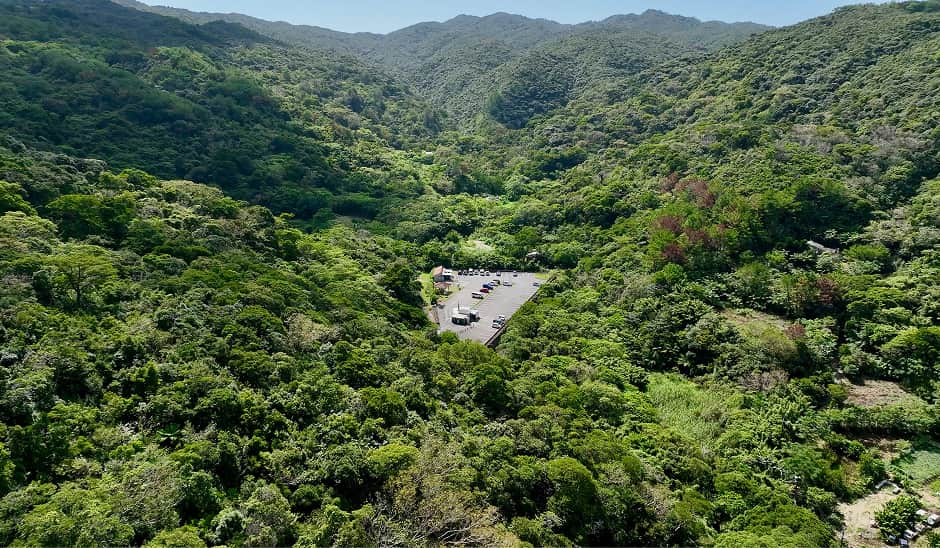 やんばるの森の中にある「ター滝駐車場」